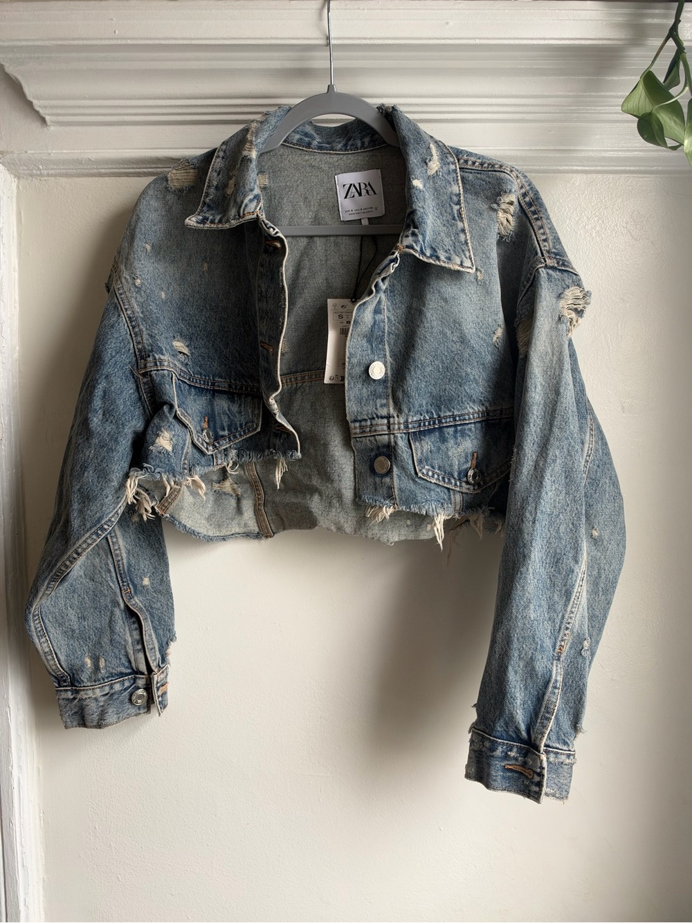 NWT ZARA Cropped Distressed Denim Jacket Medium Blue Wash Raw Hem Size Small